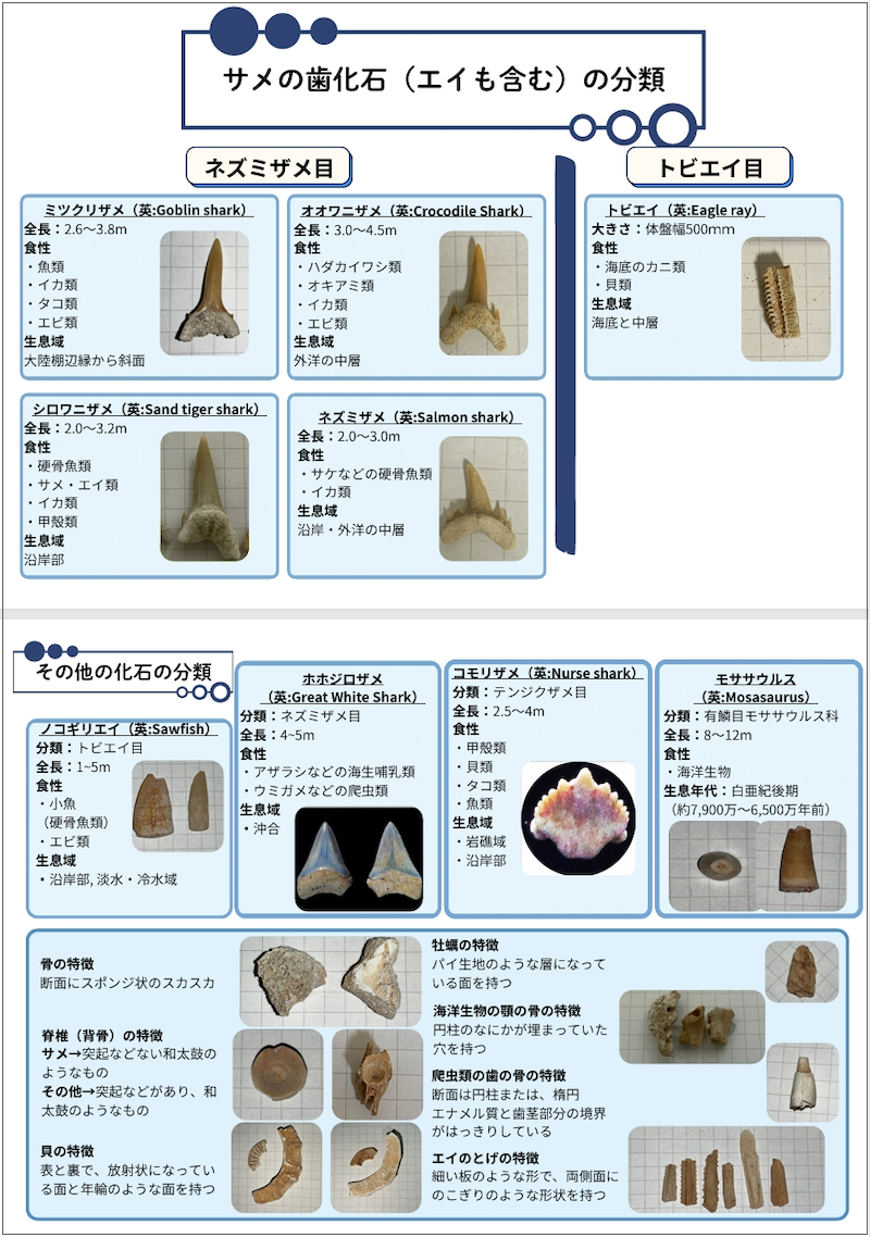 当日使用した「分類シート」