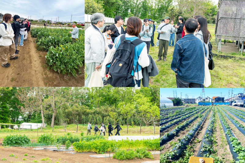 「企画表現５」の2026 年度活動風景