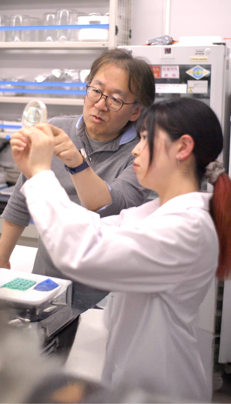教授から丁寧に教わりながら、理解を深める学生