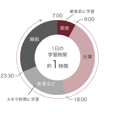 スケジュール図