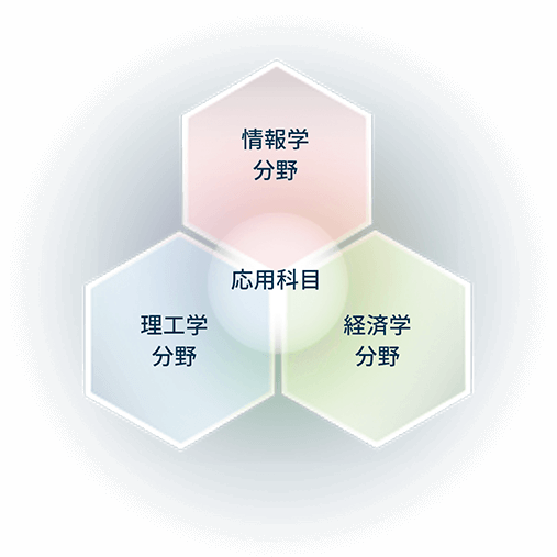 データサイエンスに必要な情報学・理工学・経済学分野と融合した学び